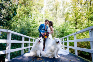 bruidspaar honden bos honden