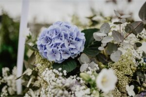 SCHEURWATER FOTOGRAFIE -6250